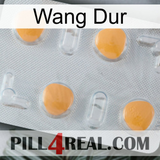Hard Wang 24